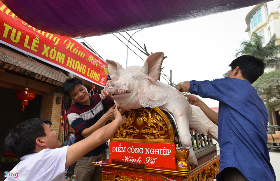 Ông lợn ngày ăn hoa quả, đêm ngủ mắc màn ở hội rước La Phù
